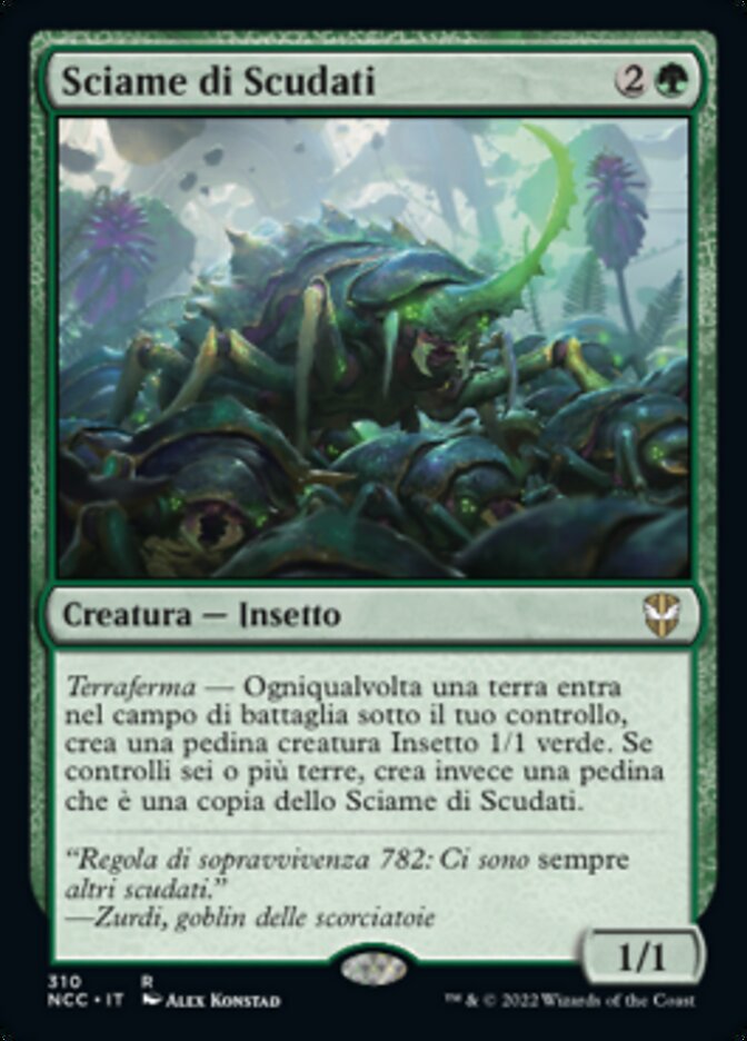 Sciame di Scudati