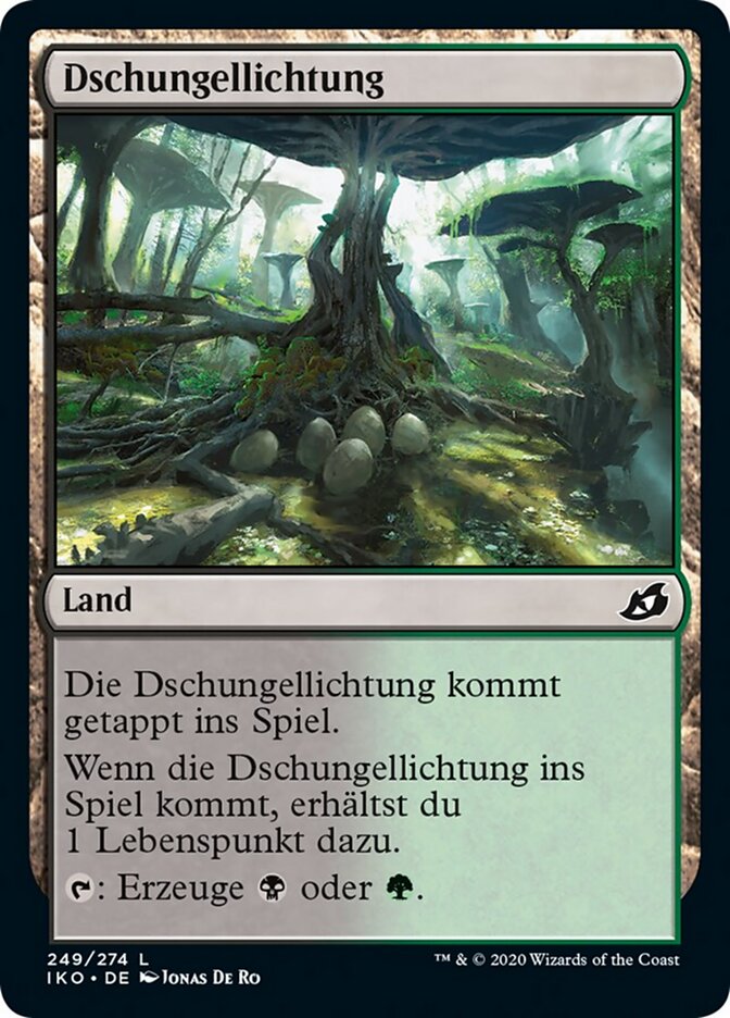 Dschungellichtung