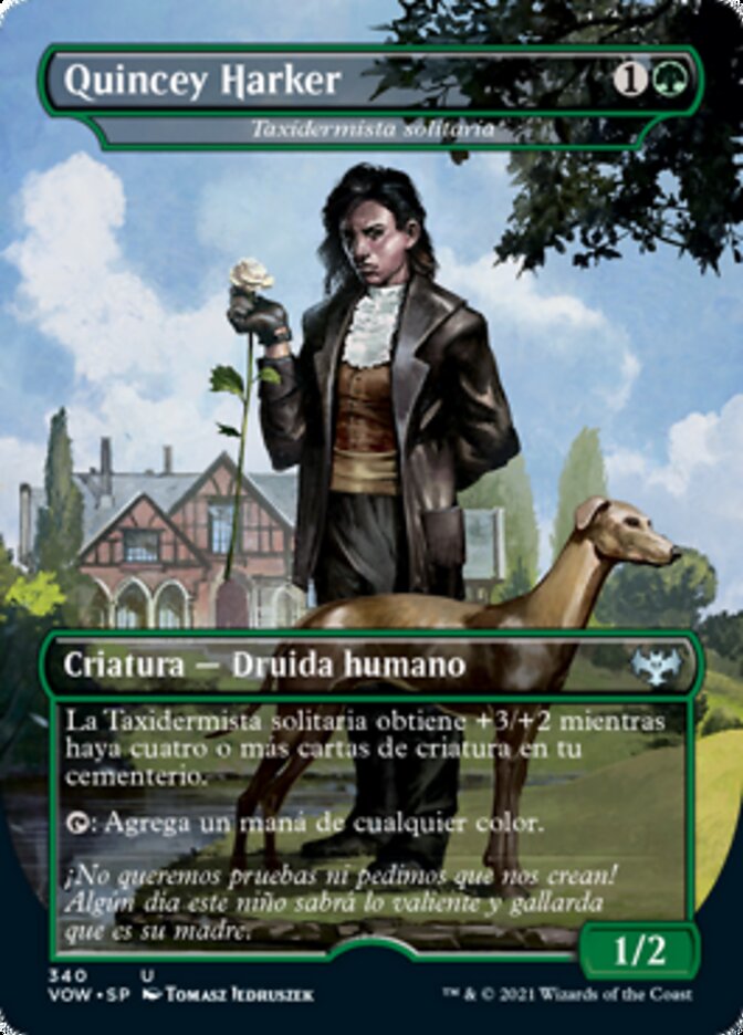 Taxidermista solitaria