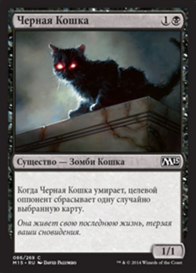 Черная Кошка