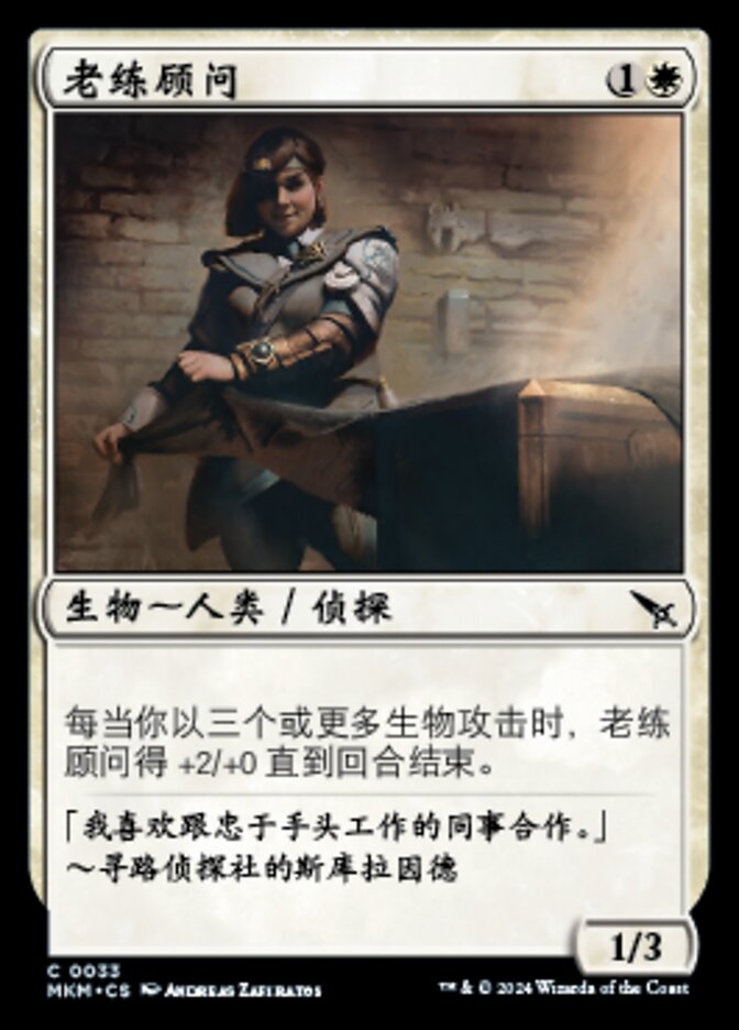 老练顾问