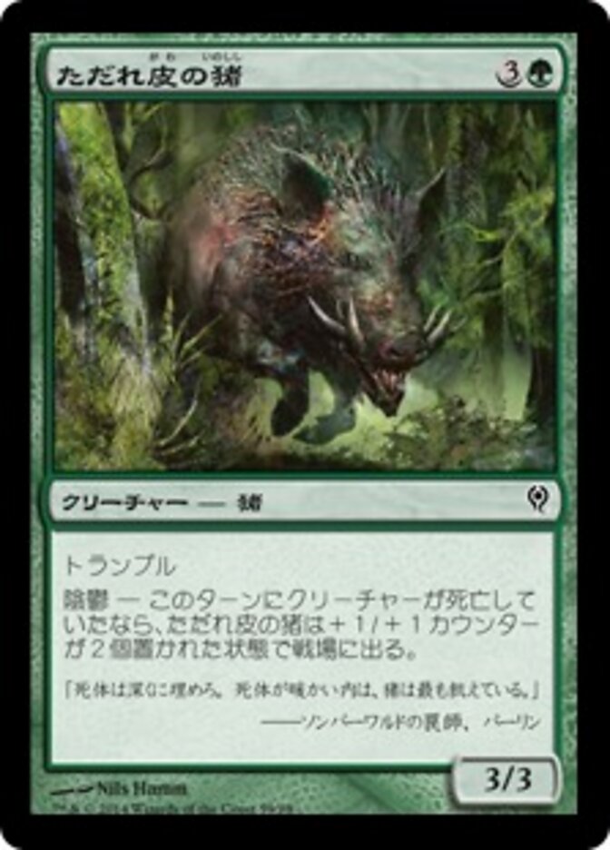 ただれ皮の猪