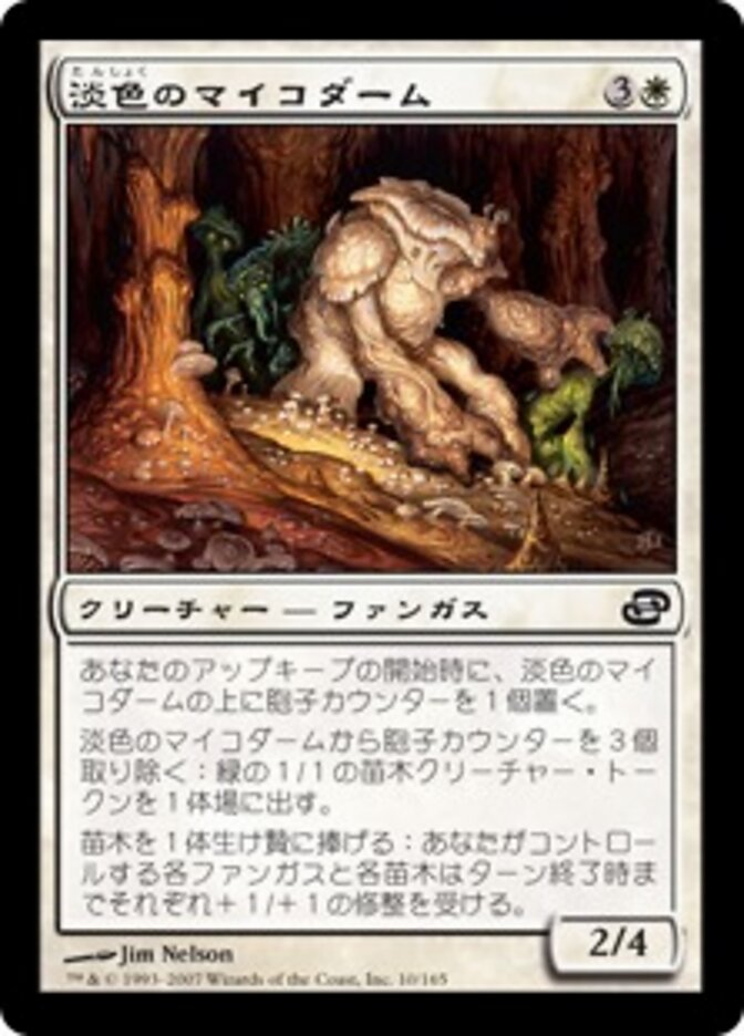 淡色のマイコダーム
