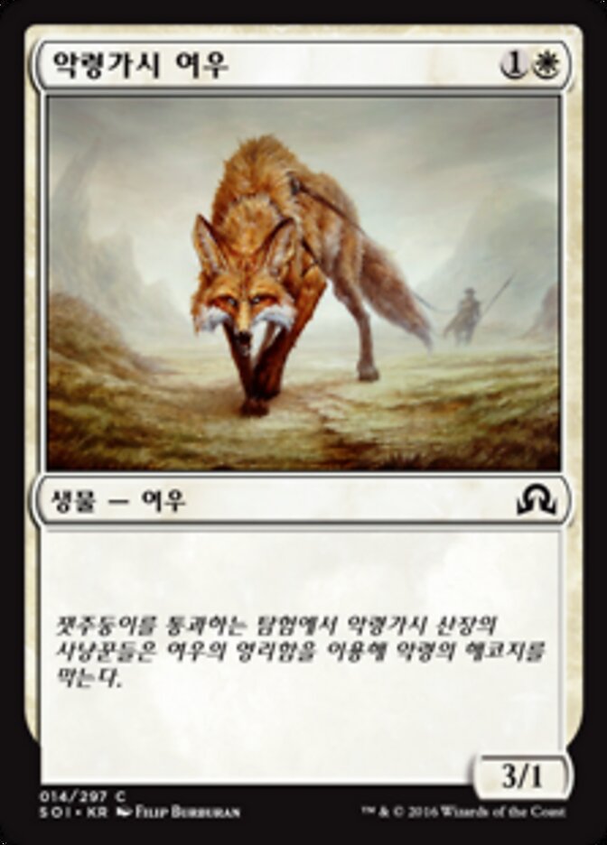 악령가시 여우