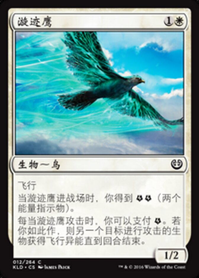 漩迹鹰