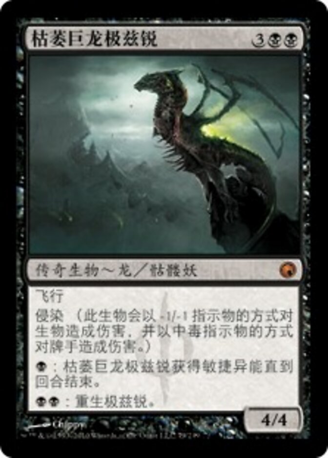枯萎巨龙极兹锐