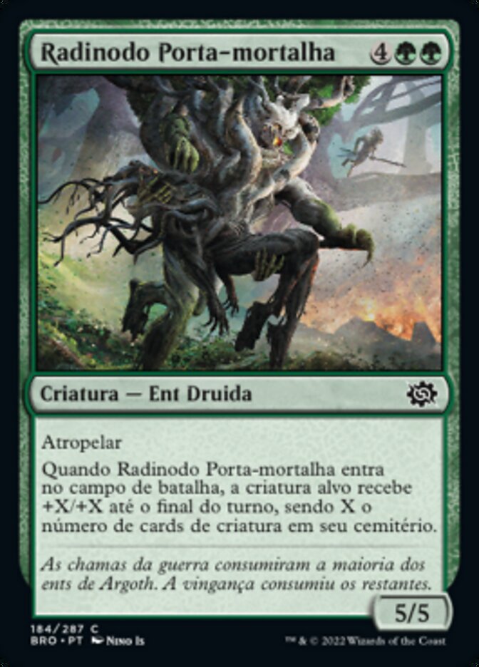 Radinodo Porta-mortalha
