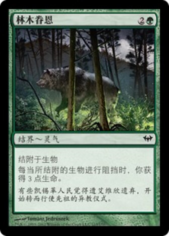 林木眷恩