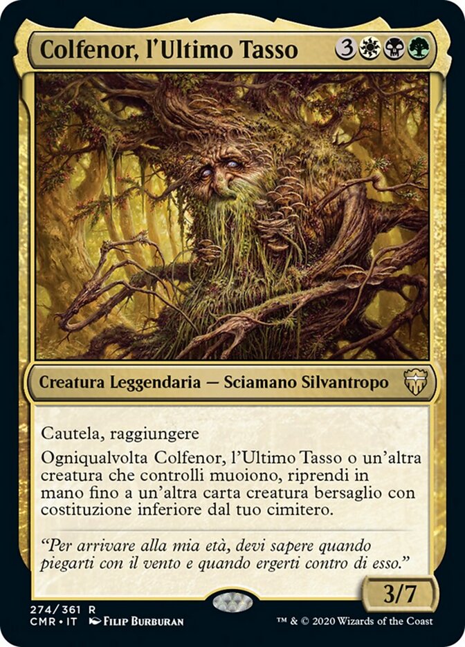 Colfenor, l'Ultimo Tasso