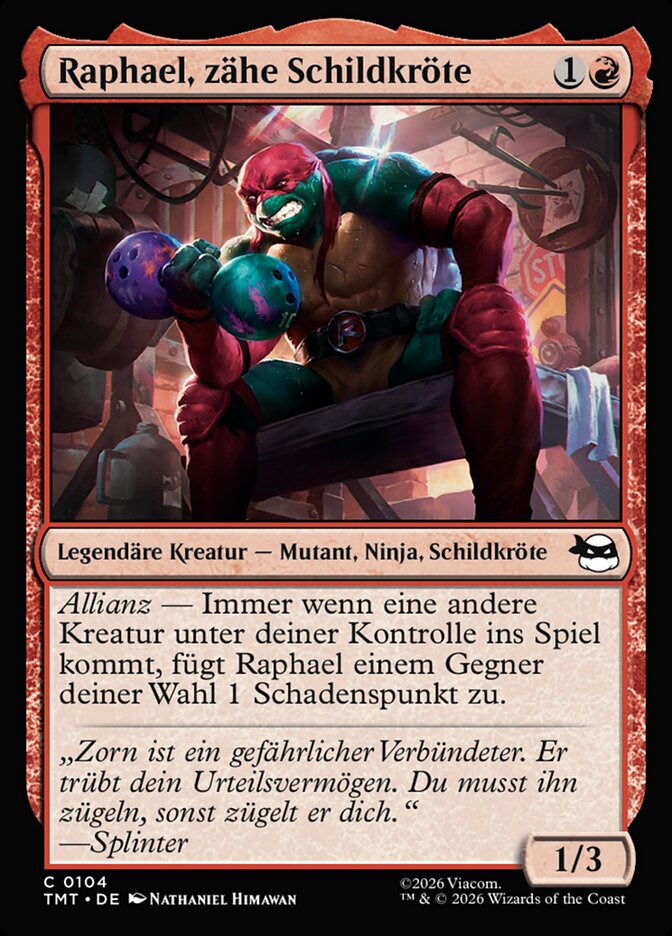 Raphael, zähe Schildkröte