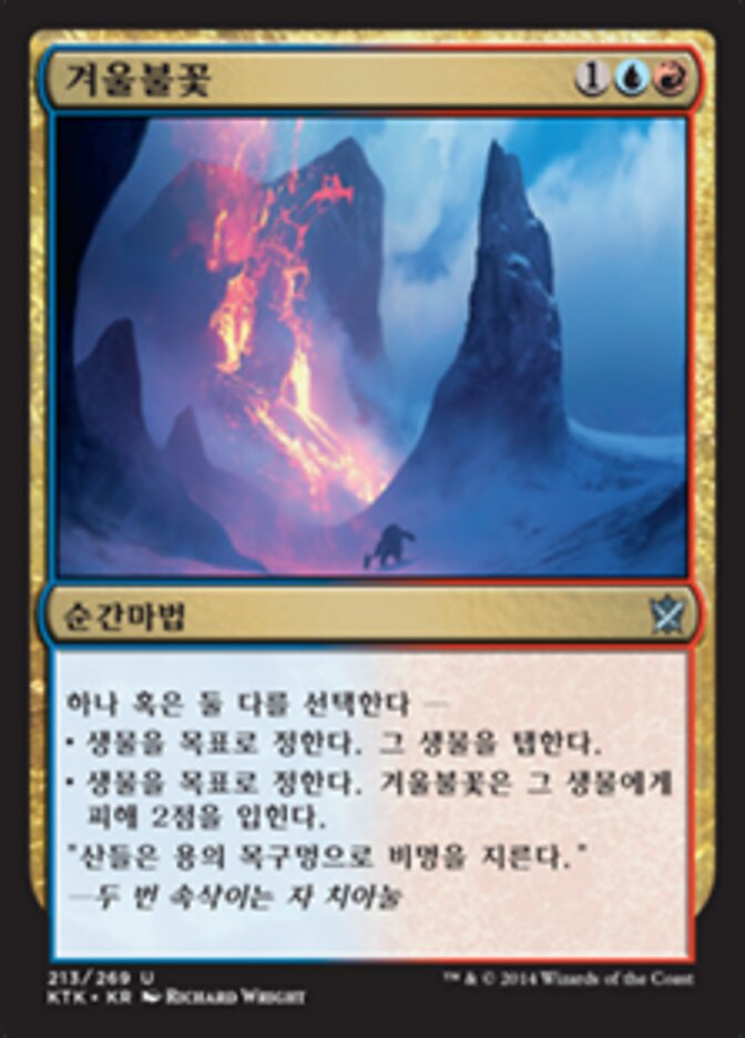 겨울불꽃