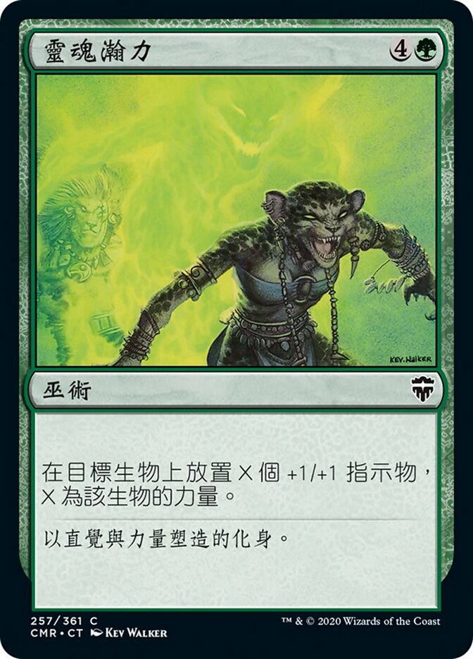靈魂瀚力
