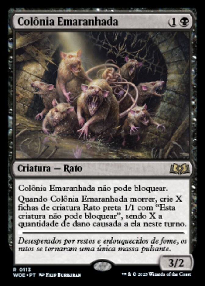 Colônia Emaranhada