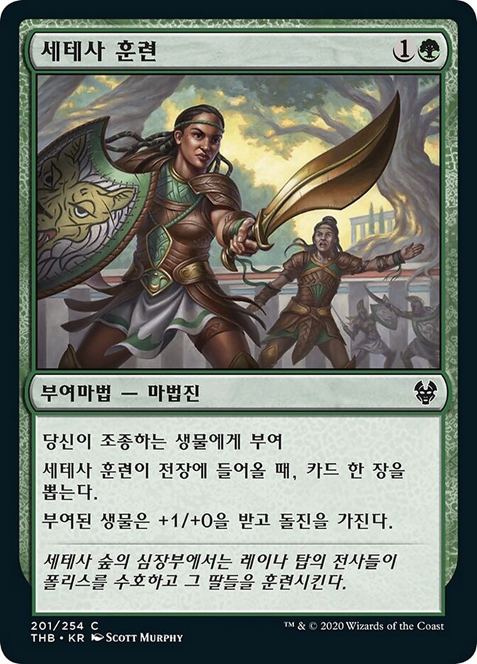 세테사 훈련