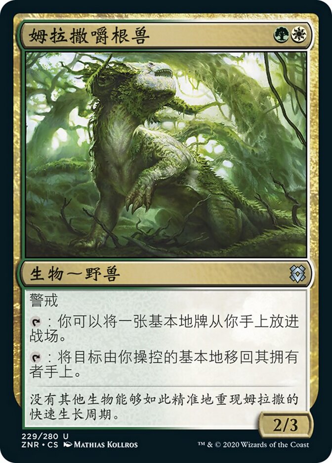 姆拉撒嚼根兽