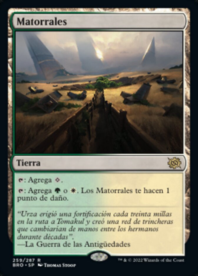 Matorrales