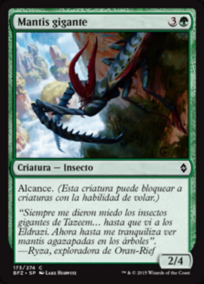 Mantis gigante