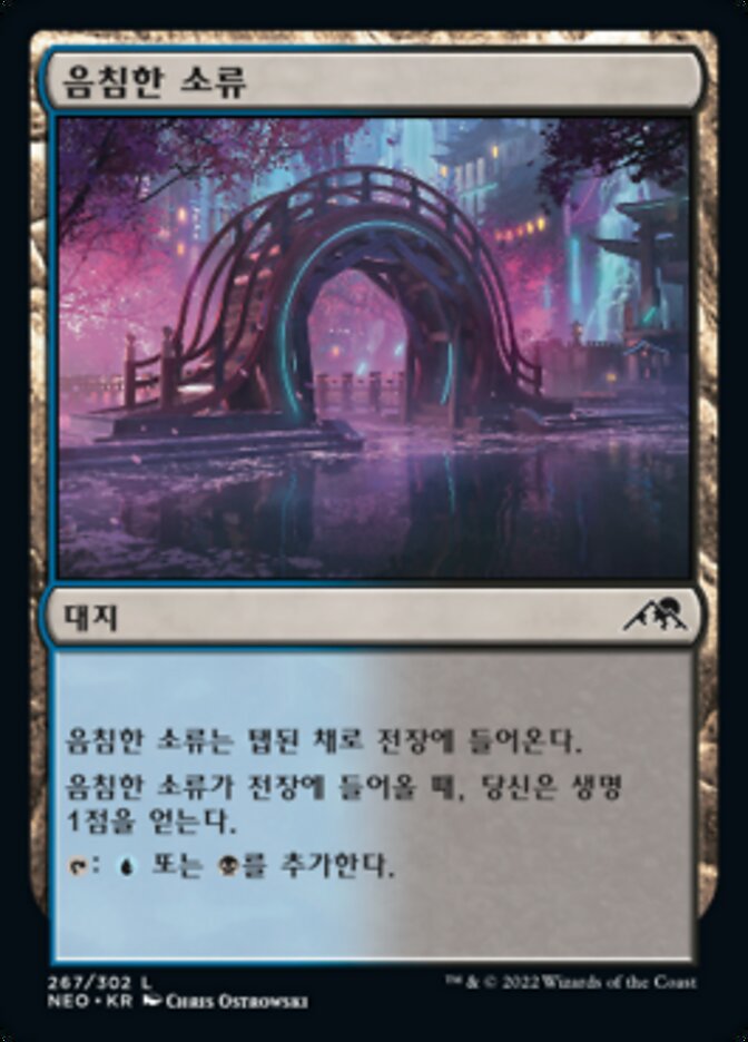 음침한 소류
