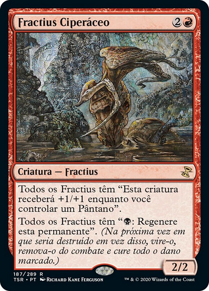 Fractius Ciperáceo
