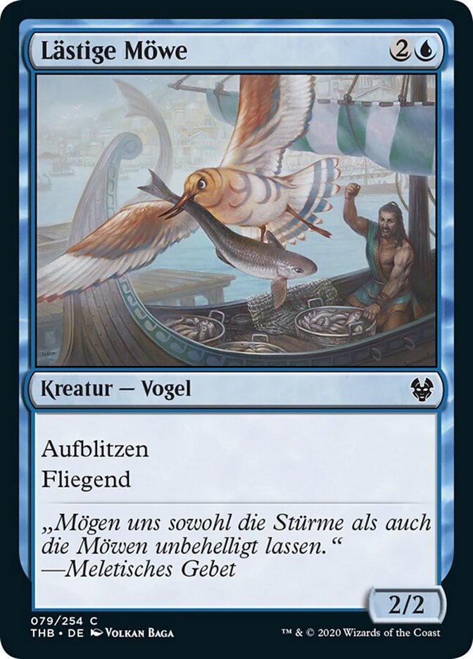 Lästige Möwe