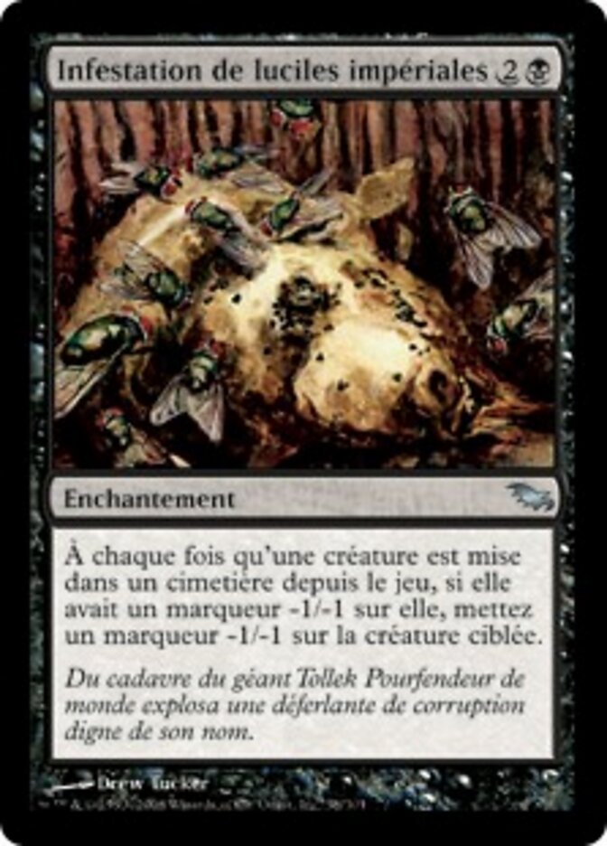 Infestation de luciles impériales