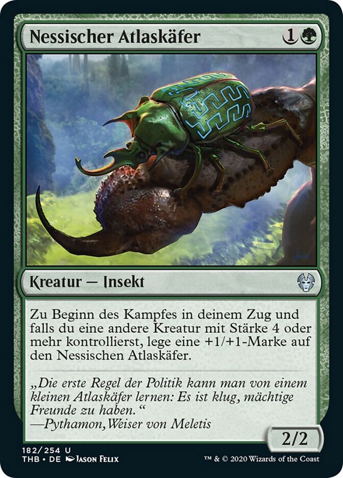 Nessischer Atlaskäfer
