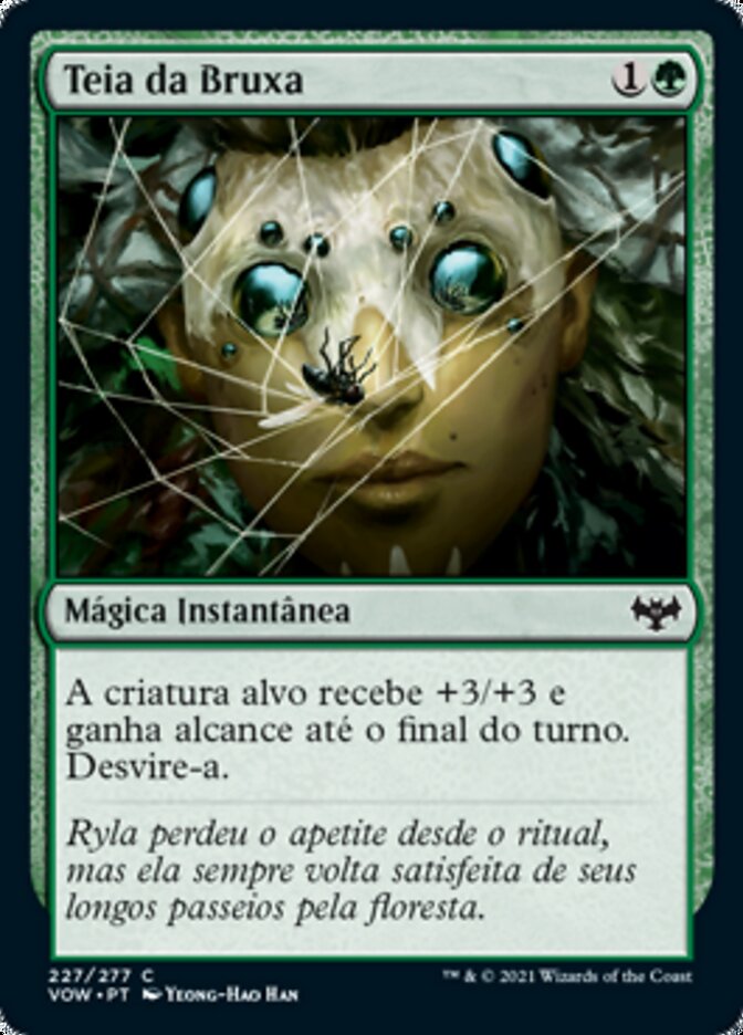 Teia da Bruxa