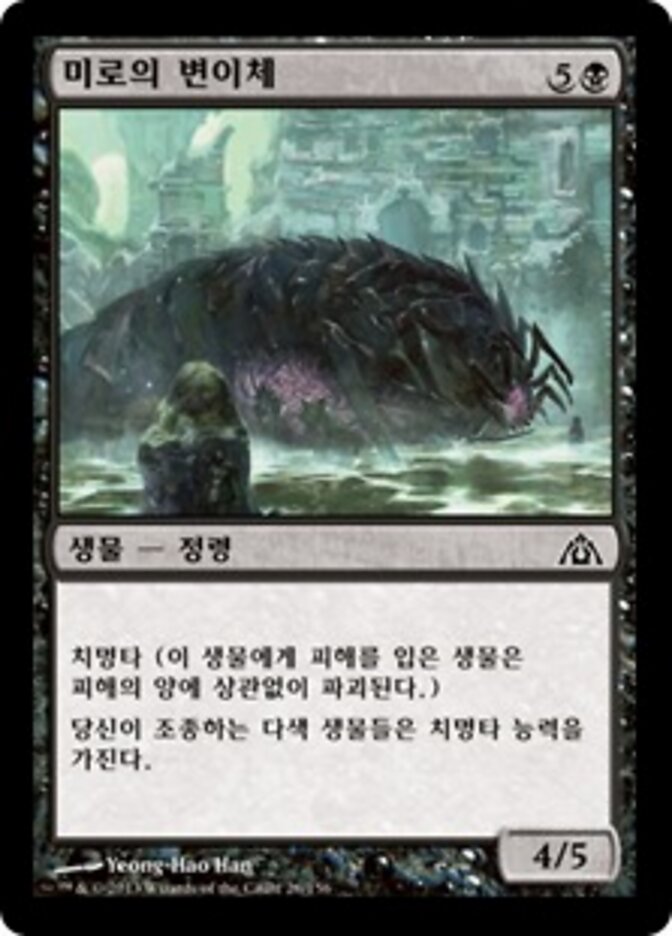 미로의 변이체