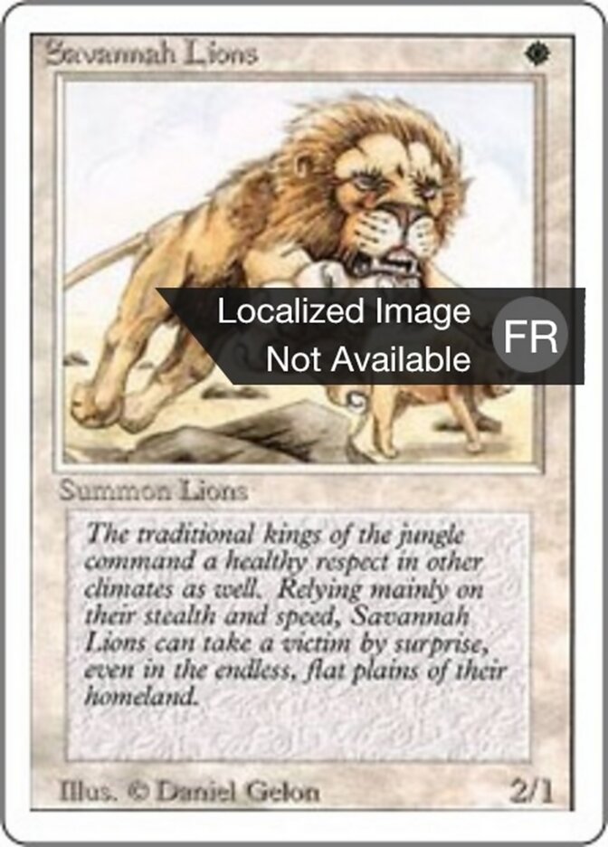 Lions des savanes