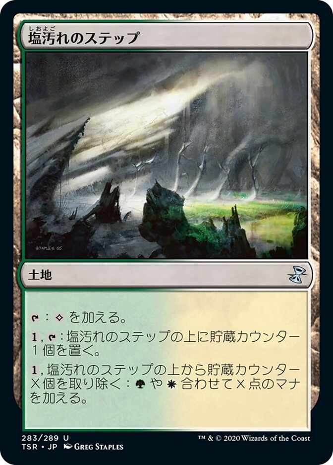 塩汚れのステップ
