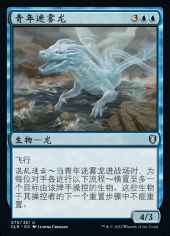 青年迷雾龙