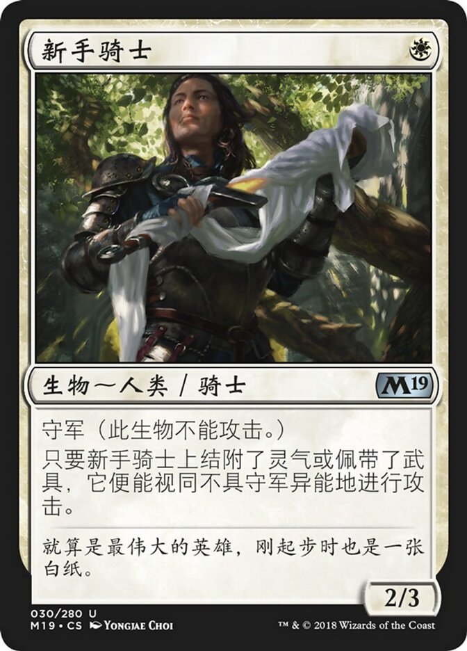 新手骑士