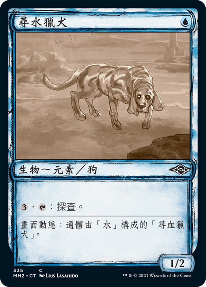 尋水獵犬