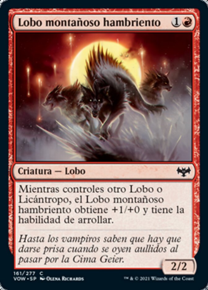 Lobo montañoso hambriento