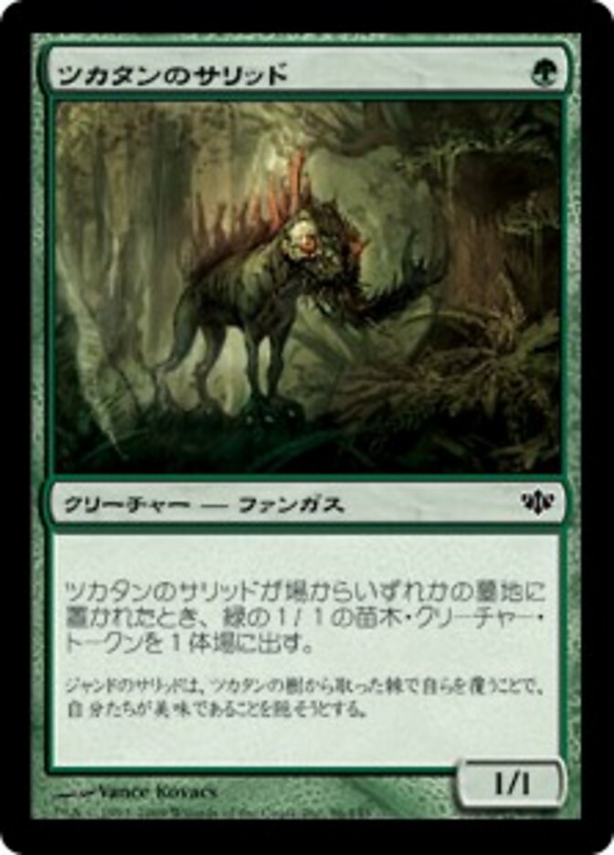 ツカタンのサリッド