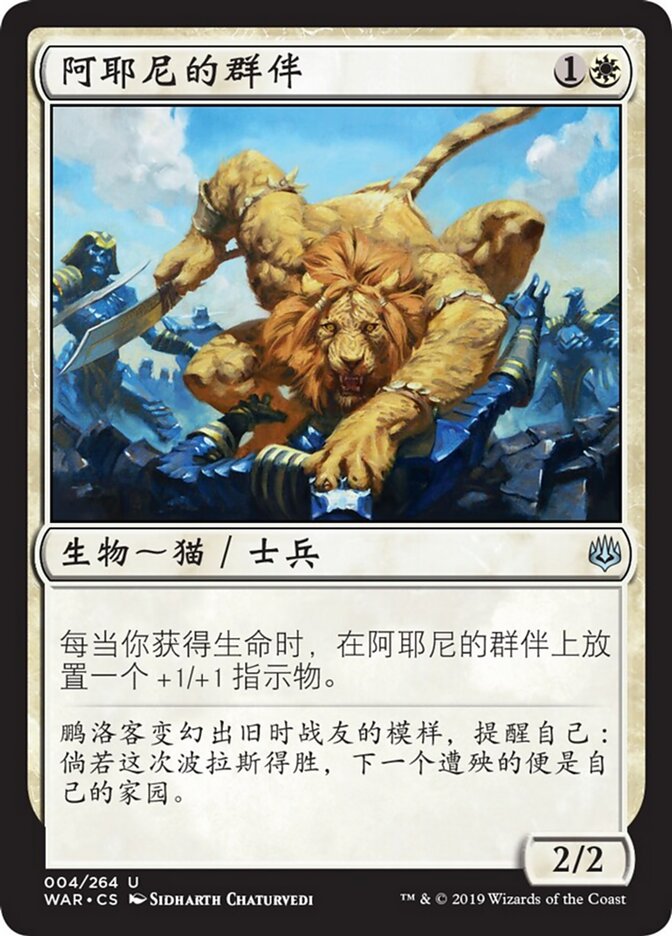 阿耶尼的群伴