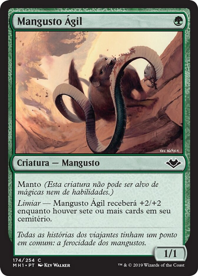 Mangusto Ágil