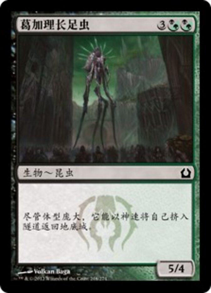 葛加理长足虫