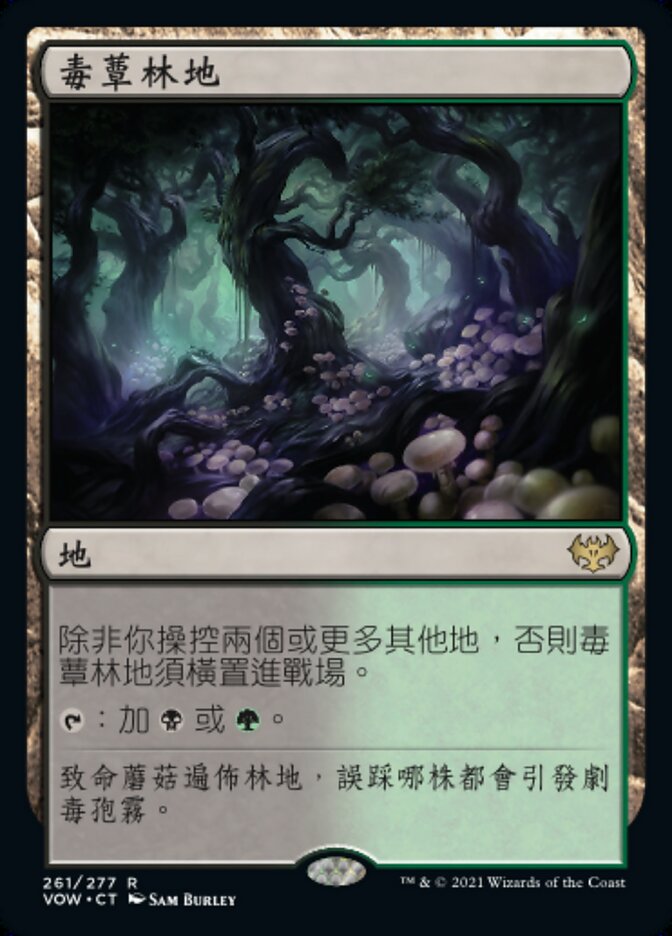 毒蕈林地