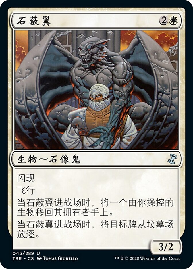 石蔽翼