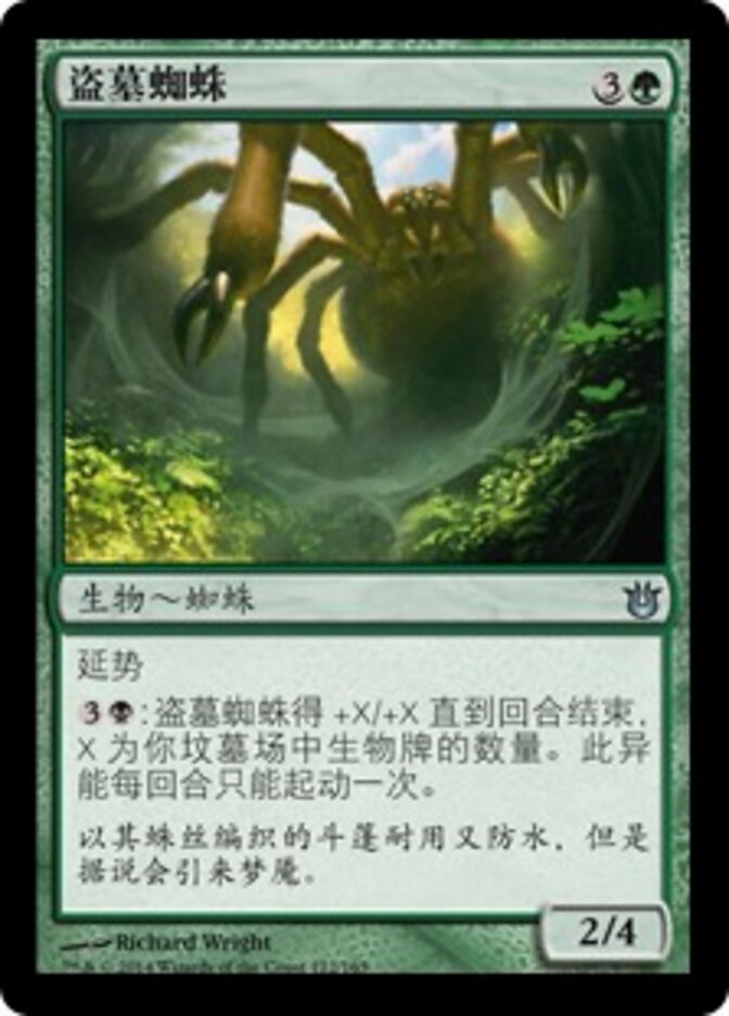 盗墓蜘蛛