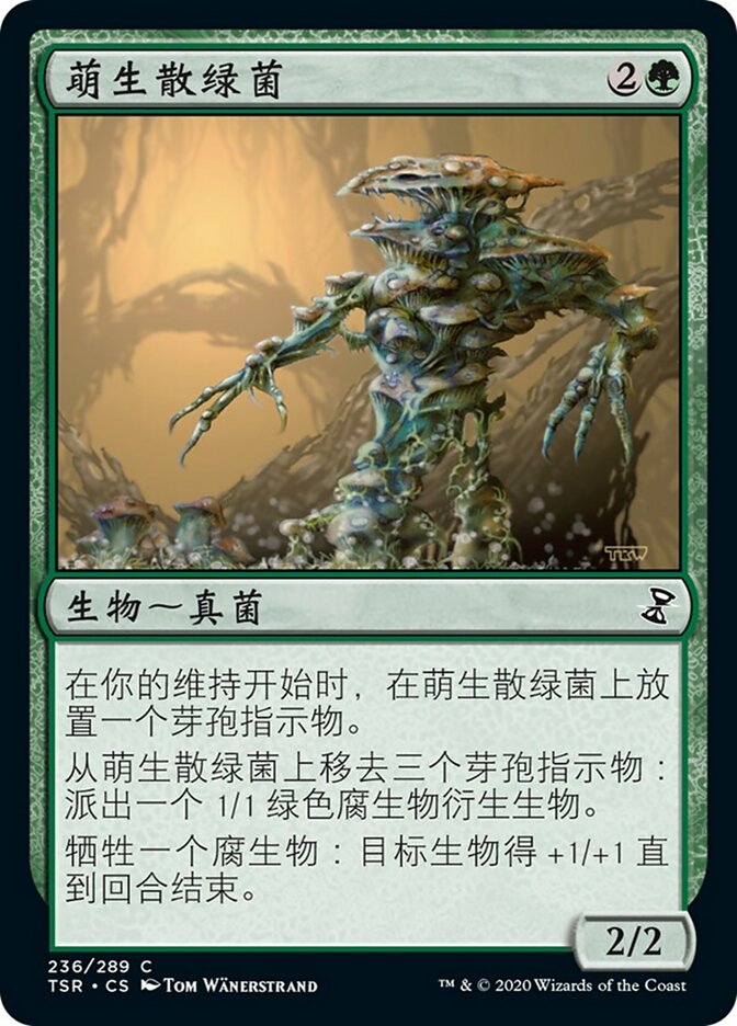 萌生散绿菌
