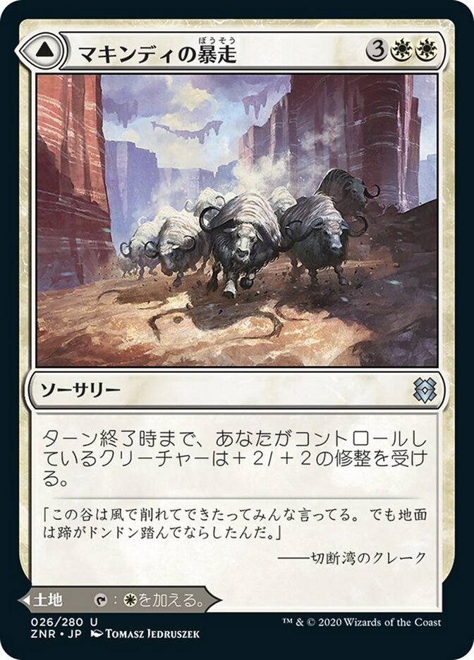 Makindi Stampede // Makindi Mesas