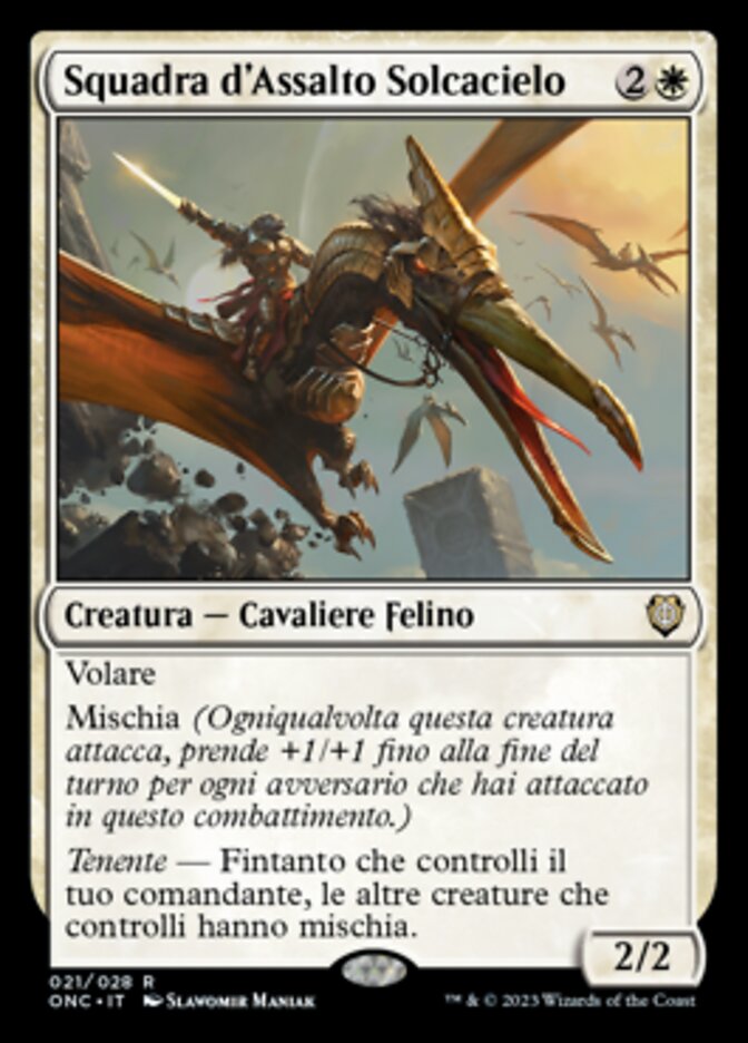 Squadra d'Assalto Solcacielo