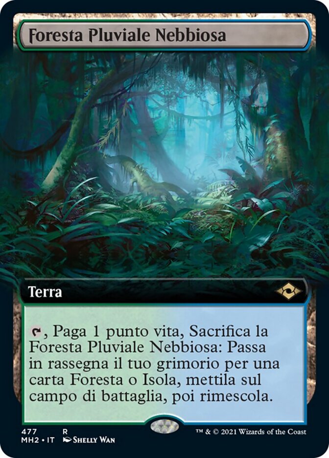 Foresta Pluviale Nebbiosa