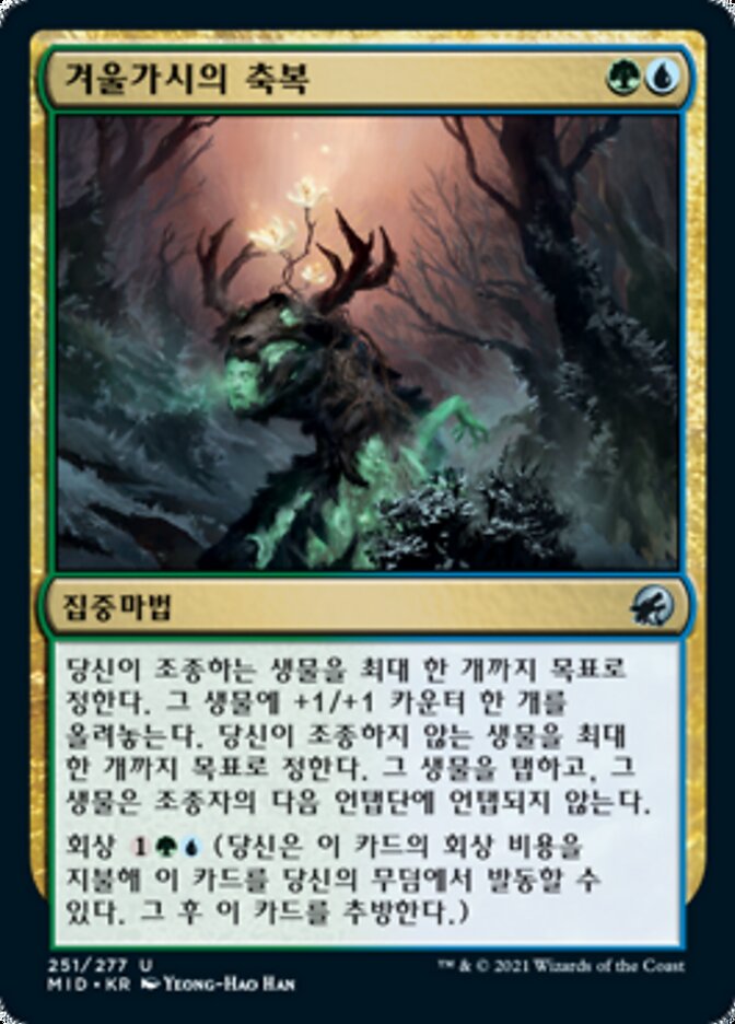 겨울가시의 축복
