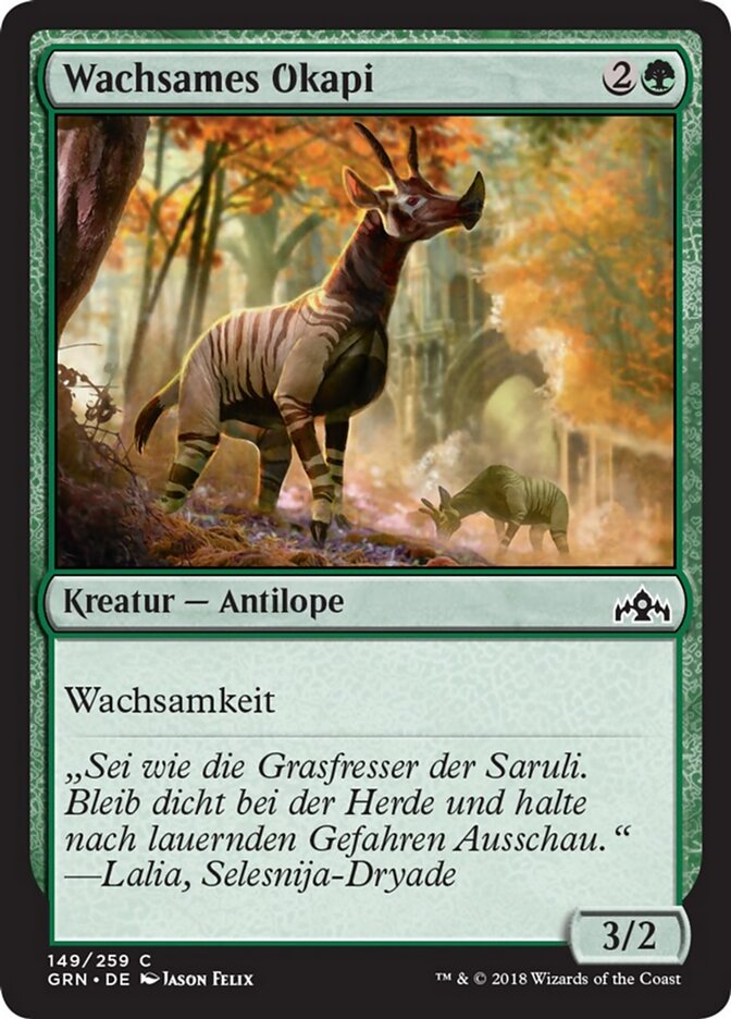 Wachsames Okapi