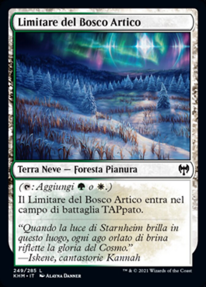 Limitare del Bosco Artico