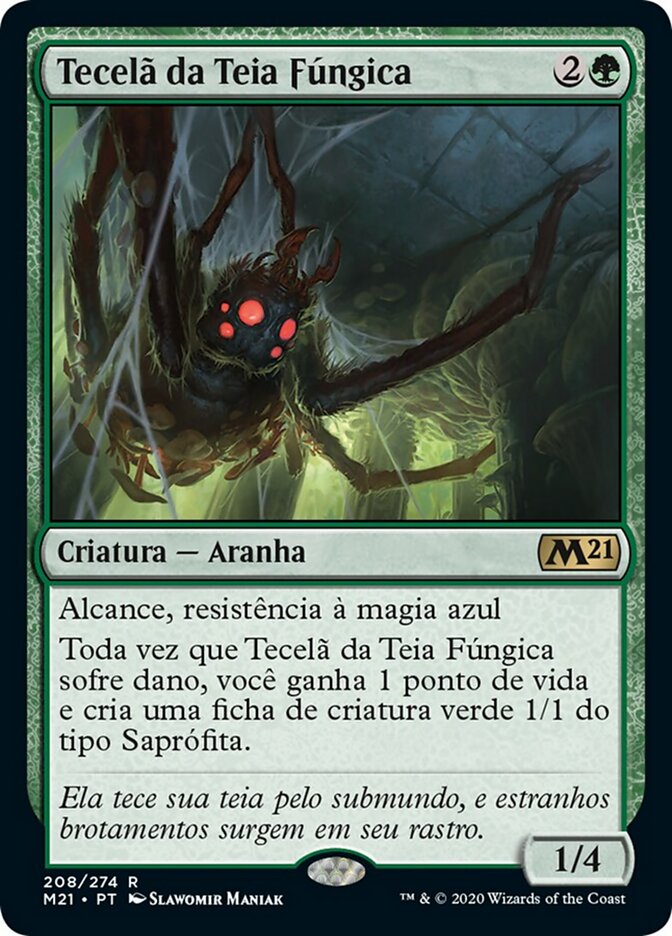 Tecelã da Teia Fúngica
