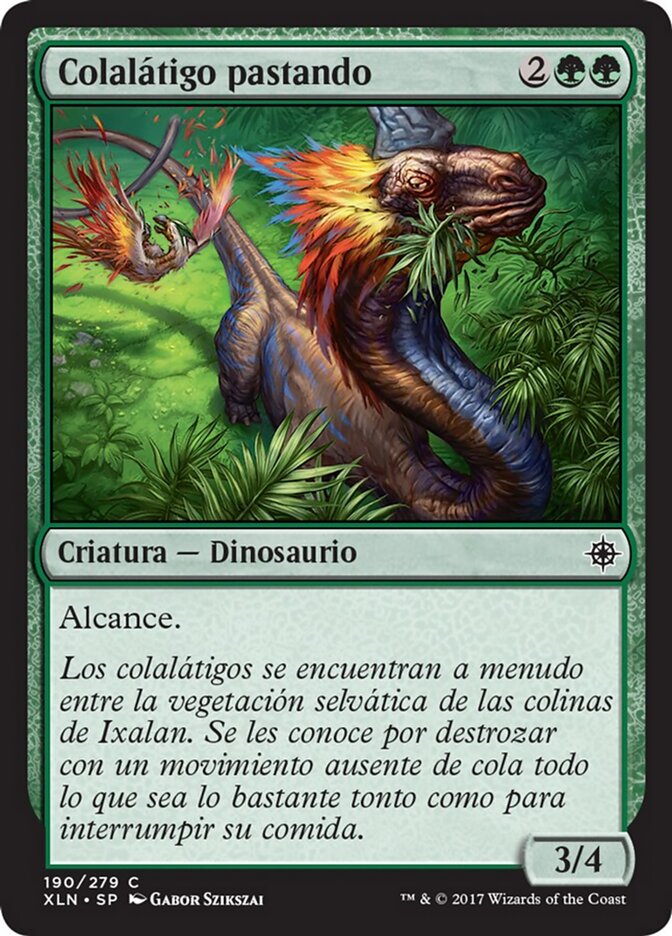 Colalátigo pastando